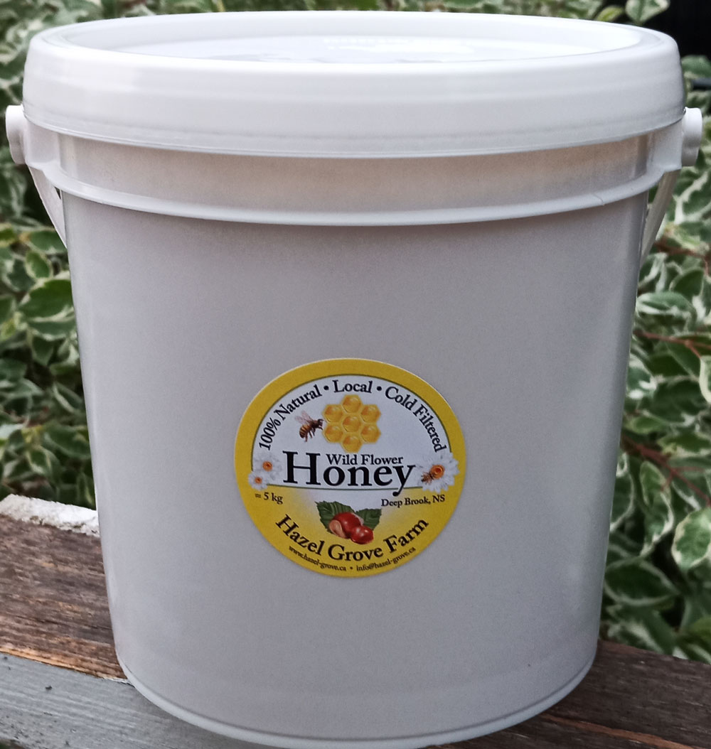 All Natural Wild Flower Liquid Honey 5 kg