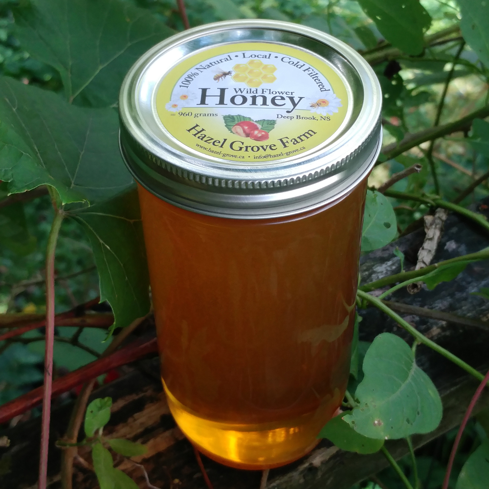 All Natural Wild Flower Liquid Honey 960 grams